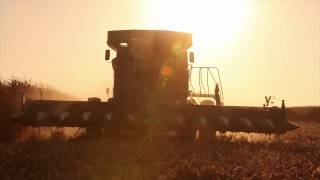 Harvest Efficiency with Headline AMP® Fungicide