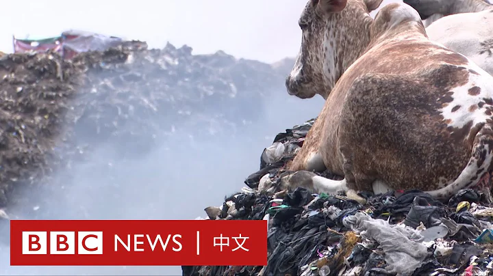 快時尚製造大量廢棄衣物 環境因而付出代價－ BBC News 中文 - 天天要聞