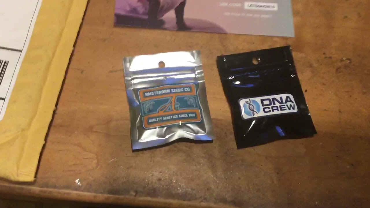 Pacific Seed Bank Order🏹 YouTube