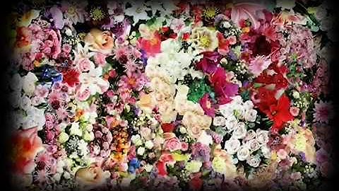 Flowers Projection Example