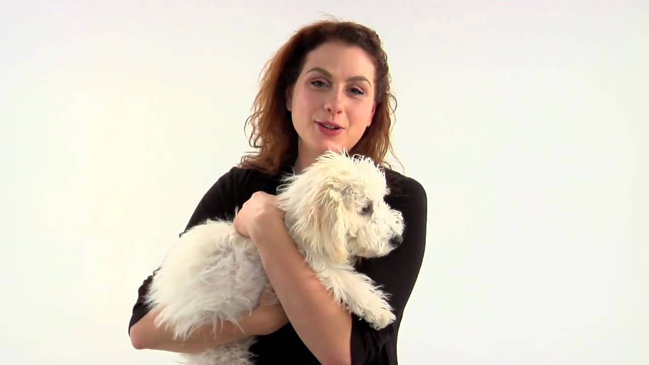 Alix Bushnell Net Worth