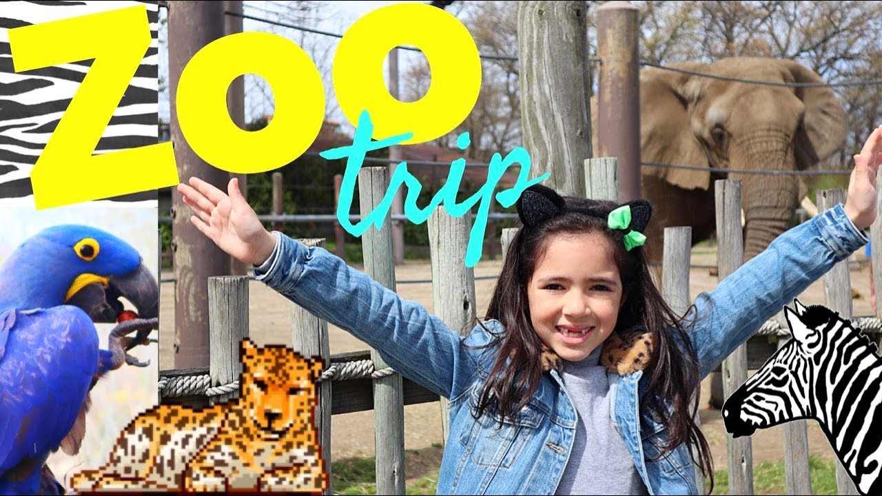 Let’s Go To The Zoo