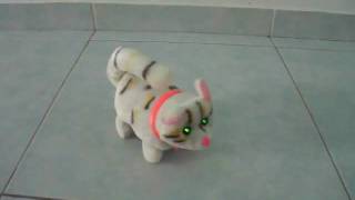 DSCF7788.AVI