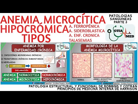 Vídeo: Hipocromía En Un Análisis De Sangre General: ¿qué Es?