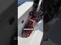 오징어 손질이 위험한 이유 thumbnail