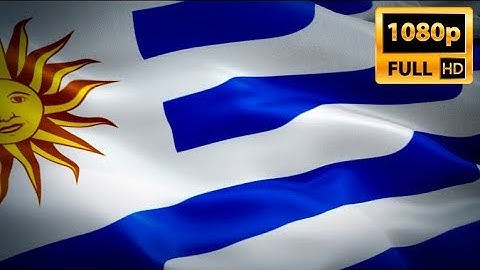 ‎Uruguayan flag video waving in wind. Realistic Montevideo Flag background. Uruguay flag Full HD