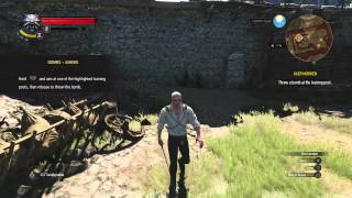 The Witcher 3 Wild Hunt Combat Tutorial