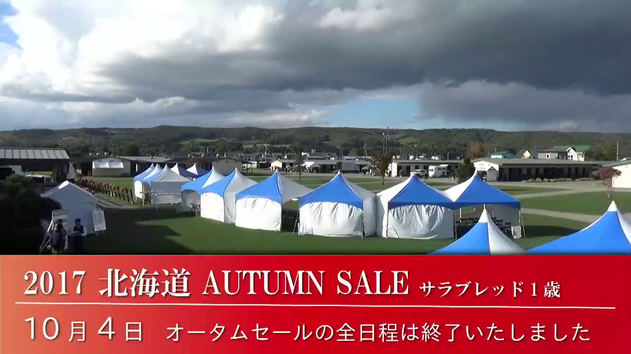 オータムセール2017 Autumn Sale 1歳馬 総合結果概要 最高額馬紹介や市場長インタビュー等 サラブレッドセール せり市場 馬市 種牡馬 の最新情報 By馬市 Com