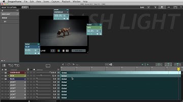 Dragonframe 3 Tutorial - DMX Bash Light