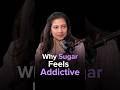 Why Sugar Feels Addictive