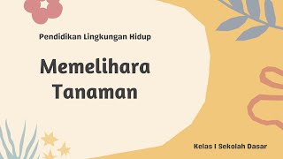 Video Pembelajaran PLH Kelas 1 - Memelihara Tanaman