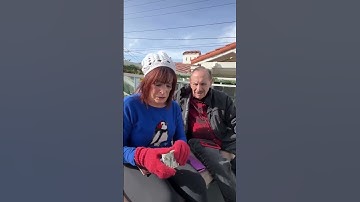 $5.000 op de grond—Deze eerlijke beslissing veranderde alles #shorts