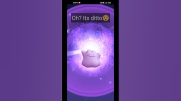#catching high iv ditto #pokemongo #100iv #shorts #pgsharp