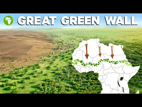 Video: Quali sono le principali cause della desertificazione in Africa?