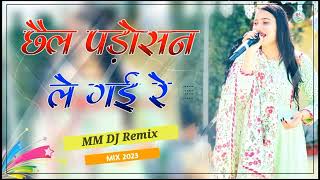 Chail Padosan Le Gai Re Dj Remix  Manisha Saini  Rajasthani Song      Remix