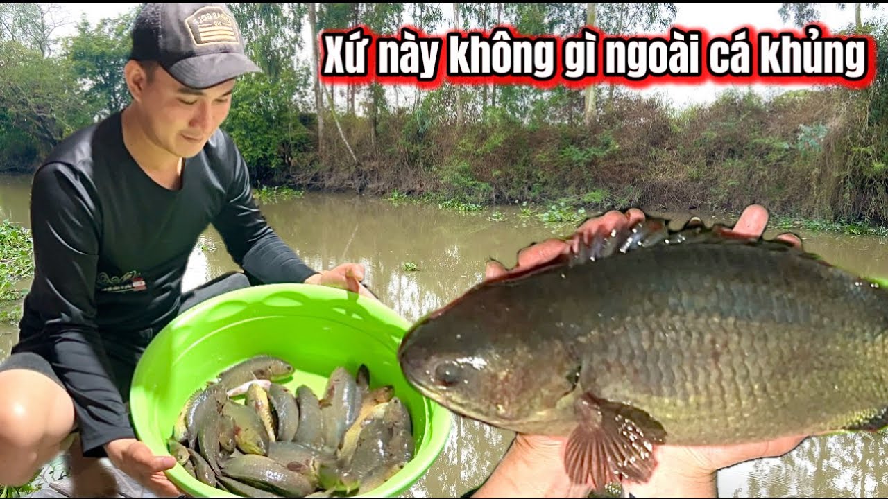 Cái Kết Bất Ngờ Dính CÁ KHỦNG Liền Tay Ở Điểm Câu Cá Rô Đồng Này / lãng tử miền tây T 96