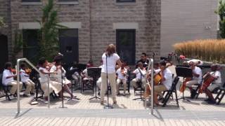 Serendipity Strings Performs Cabbage with a K