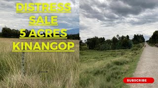 (SOLD) Distress sale of 5 Acres in Kinangop Nyandarua County!!
