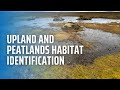 Upland and Peatlands Habitat Identification
