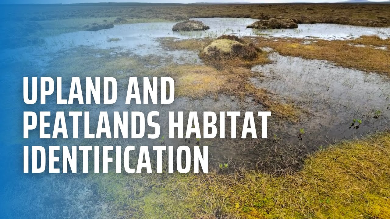 Upland and Peatlands Habitat Identification