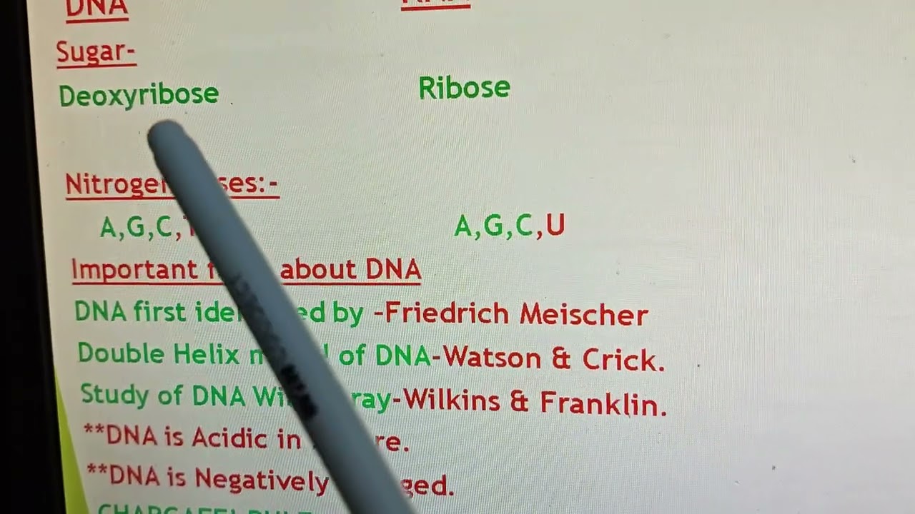 All Confusions of Nucleic Acid