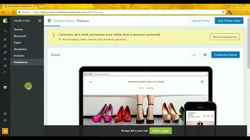 16 How to Disable Password Protected Page in Shopify  - Jessica