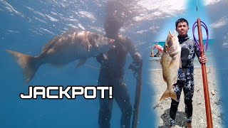 GIANT EMPEROR || LONG NOSE EMPEROR || SPEARFISHING PHILIPPINES.