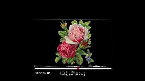 /حالات واتس اب اسلامية بداية سورة النبأ - ماهر المعيقلي