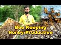 Umasenso dahil sa bubuyog  bee keeping honey production