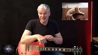 Rock Guitar - Cat Scratch Fever