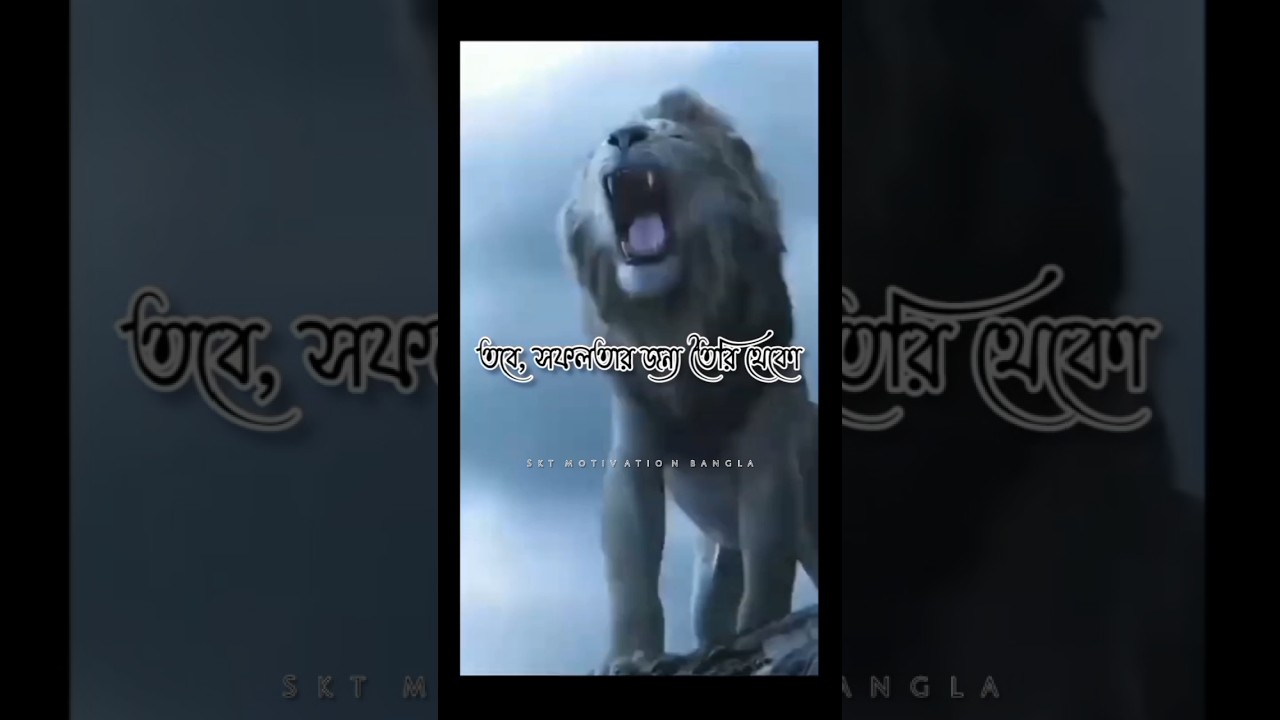 ~🔥sigma rules :Ready for success🔥||