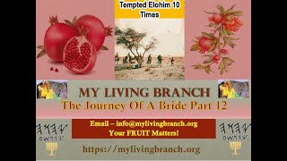 6-2-2020 The Journey of a Bride Part 12 Tempted 3 IDOLS