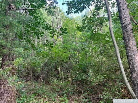 377 County Route 7, Nassau, NY home video tour