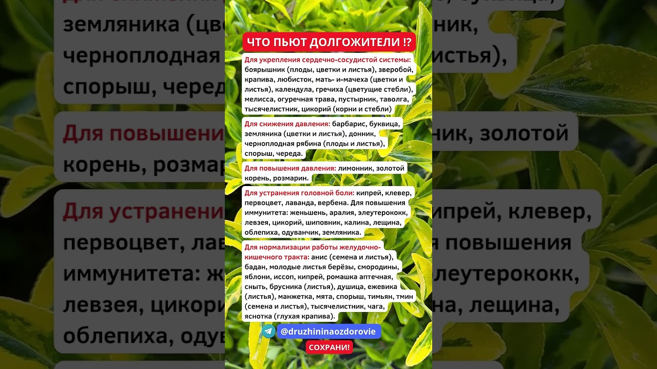 Что пьют ДОЛГОЖИТЕЛИ 