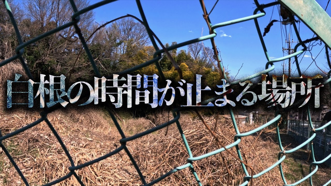 2ch発祥の怪談横浜市の「白根の時間が止まる場所」を調査する【都市伝説】
