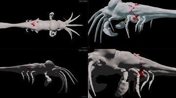 CFX | Volumetric laceration | Vellum | Houdini R&D