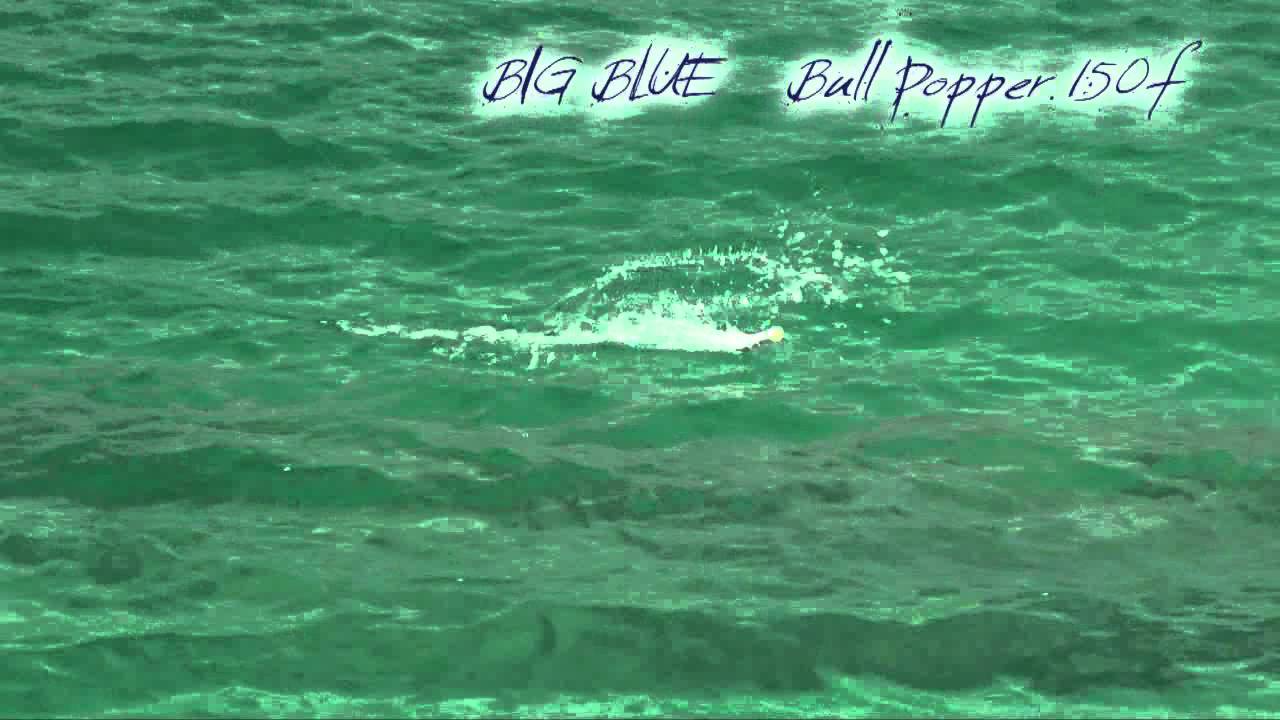 国際フィッシングショー12 Big Blue 水中動画 336 Youtube