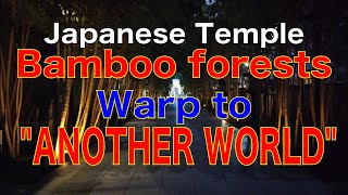【4K Tokyo】浄土宗 梅窓院 Temple, Bamboo forest warp to another World. Founded in 1643. Aoyama, Tokyo
