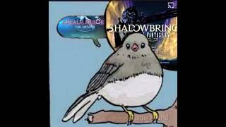 FFXIV Intro Bird Meme
