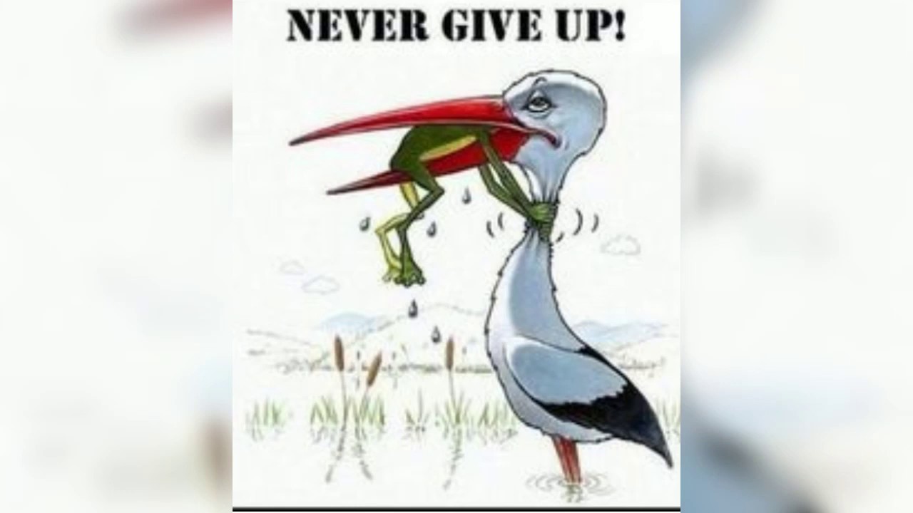 Deep meaning in every image