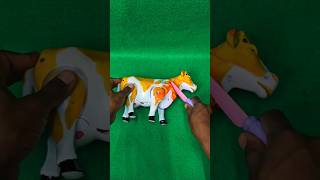 Wadidaw Moment: Proses Qurban Sapi dari Awal sampai Akhir | #shorts #sapi #ytshorts #funnyvideo