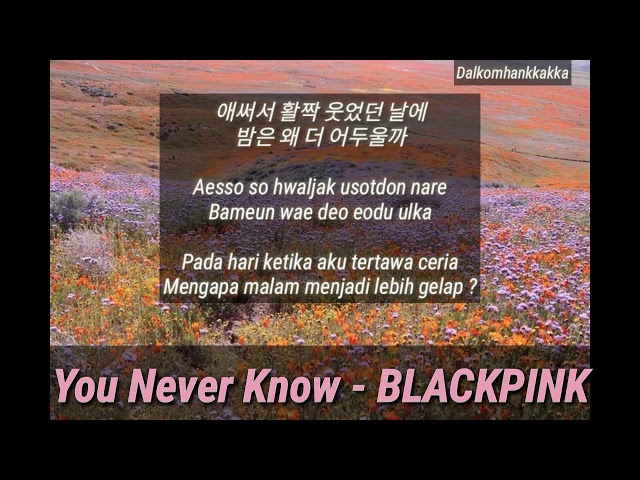 You Never Know - BlackPink /Lirik/Hangul/Terjemahan Indonesia class=