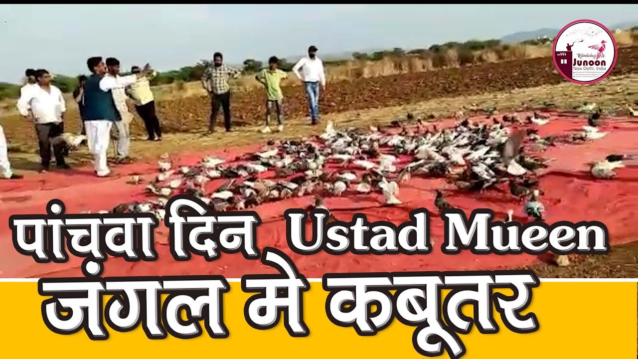 Part - 5, Ustad Moin Ne Ajmer Me 400 Kabutar Jungle Me Khole, 13-3-2023, #ajmer  #karharmaidanfateh