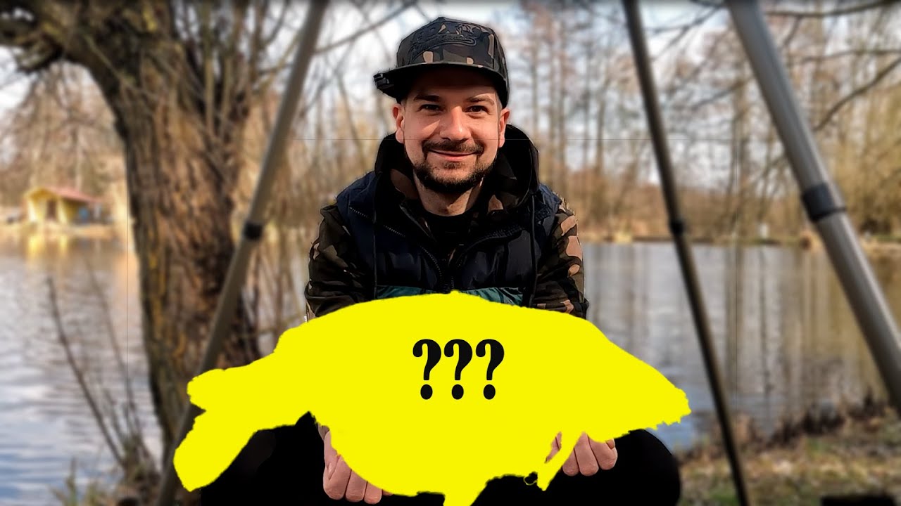 PIERWSZA ZASIADKA, KARPIE MAJĄ WOLNE? - ŁOWISKO OLEŚNIKOWA DOLINA