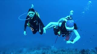 Seazaa Gang Maldives 2023 Dive6 Kudarah Tiara Art