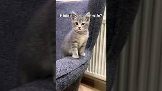 Kilolu Biriyle Evlenir Misin Süpriz Son