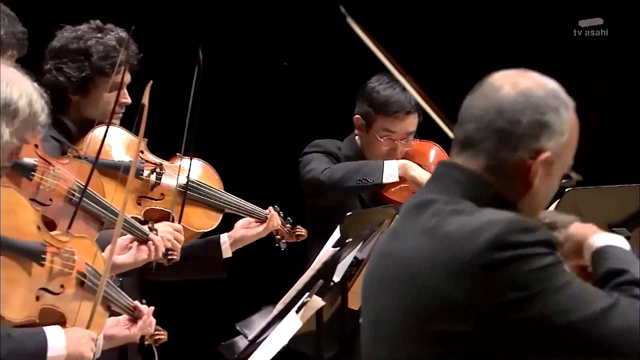 J.S. Bach Brandenburg Concerto No.3 - Ann Cnop, Baroque Violin