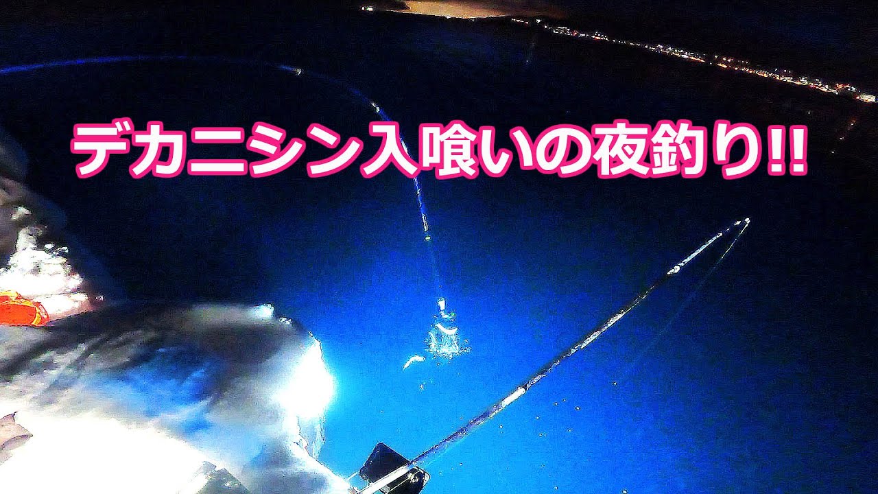 北海道石狩湾・小樽釣り】小樽でデカニシン入喰いの夜釣り!! 2025.2.2 