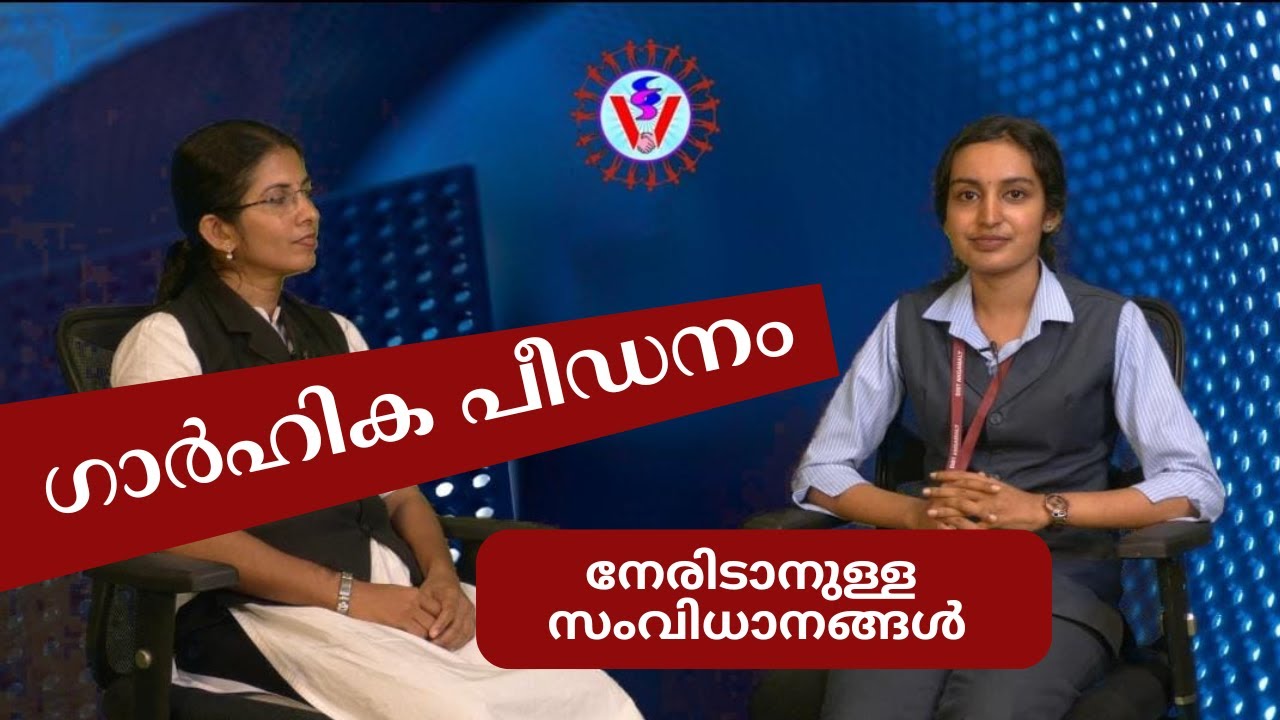 Domestic Violence and the Legal System in 