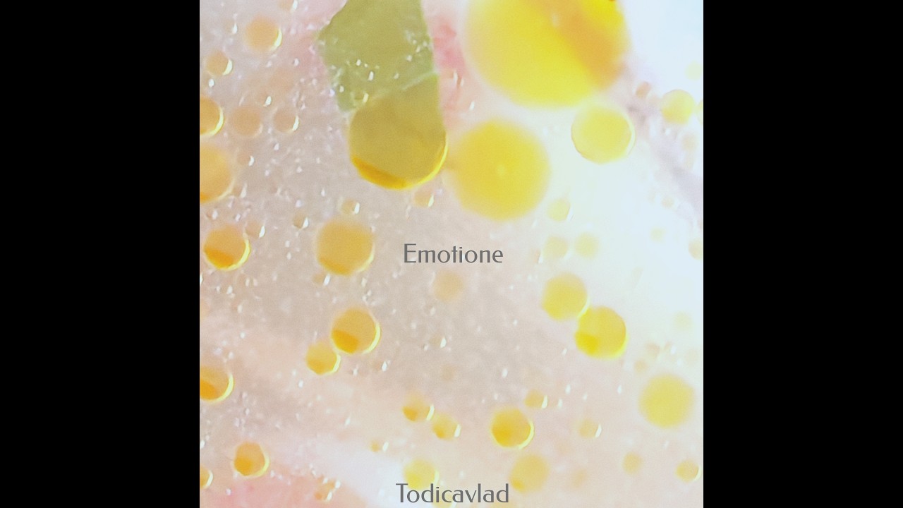 todicavlad -- emotione